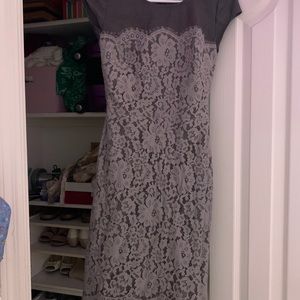 Beautiful Grey Laced Fitted Dress